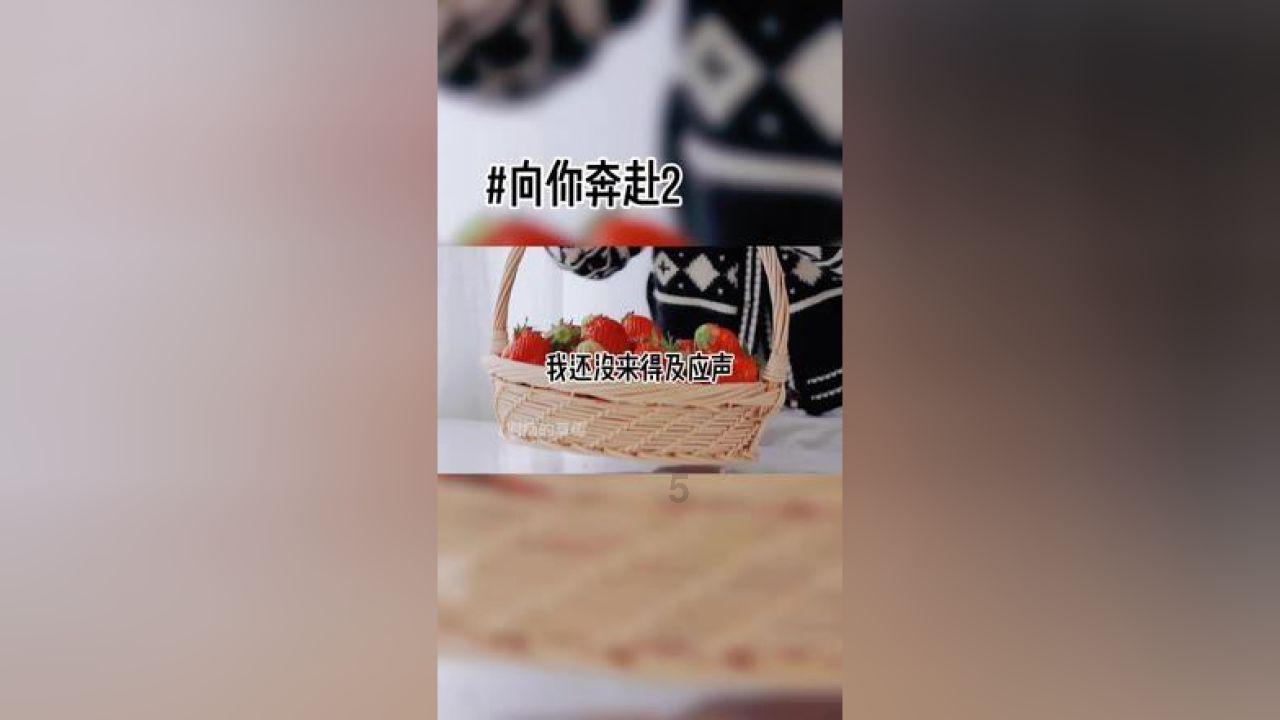 雷竞技比分
